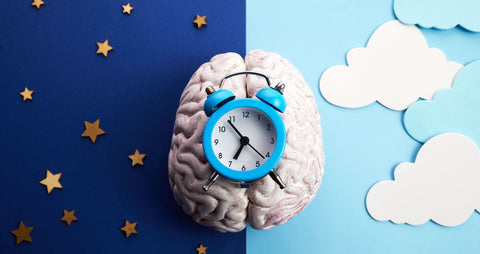 Tu cuerpo, tu sueño y los ritmos circadianos: si quieres dormir bien lee esto