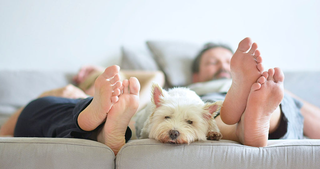 Ergonomía de la A a la Z: 27 hábitos que cambiarán tu calidad de vida