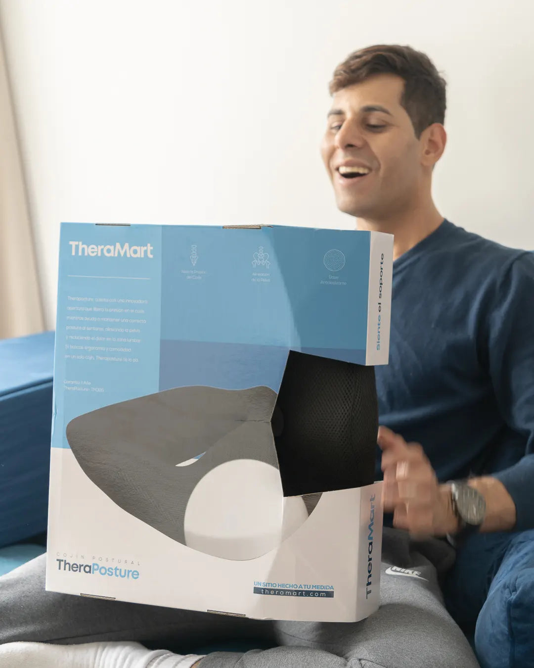 Theraposture Cushion