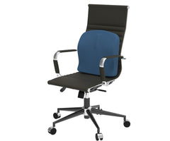 Theraplus 2-in-1 Cushion 