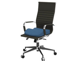 Theraplus 2-in-1 Cushion 