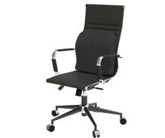 Theraplus 2-in-1 Cushion 