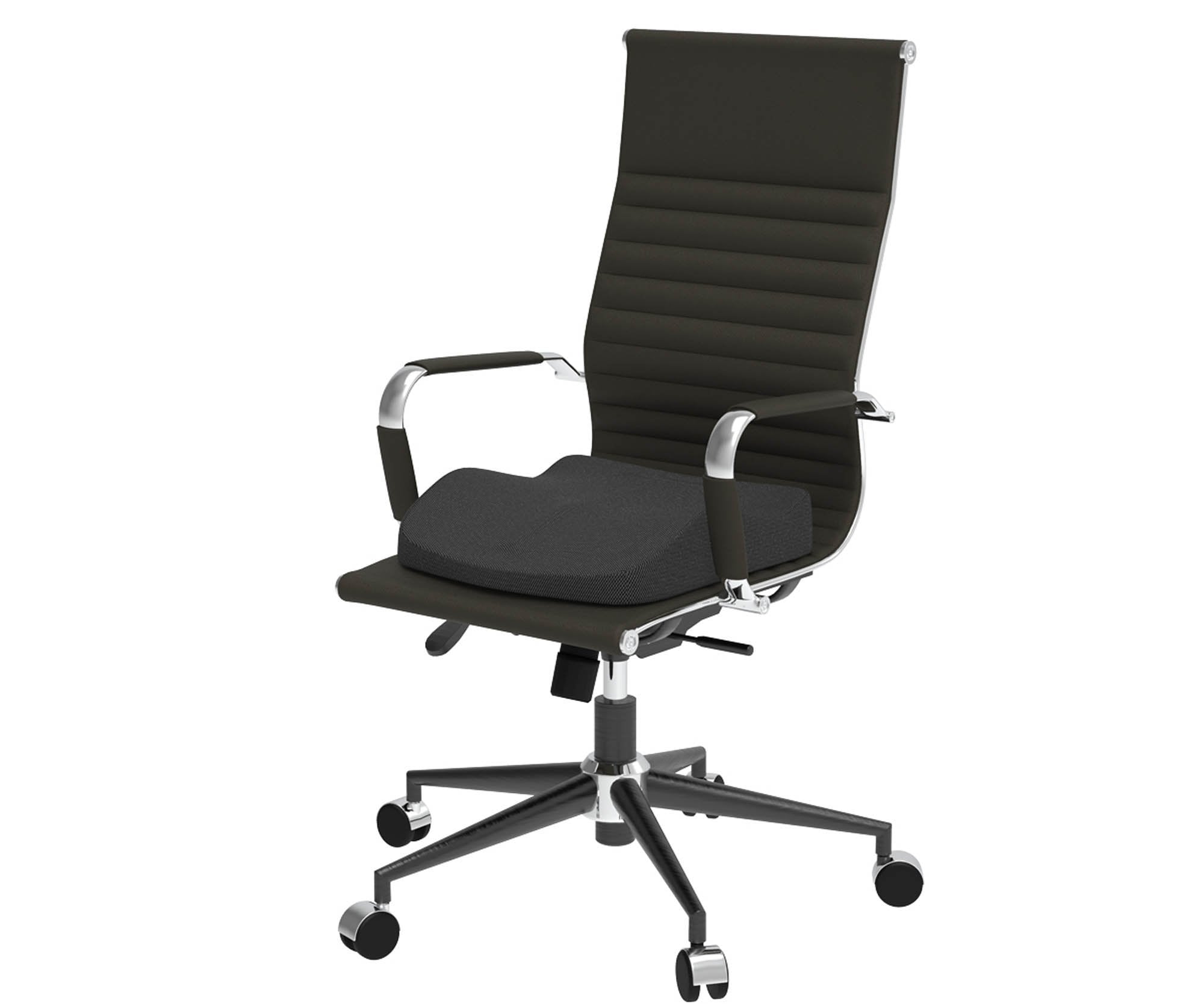 Theraplus 2-in-1 Cushion 