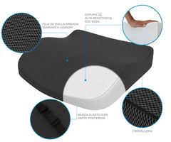Theraplus 2-in-1 Cushion 