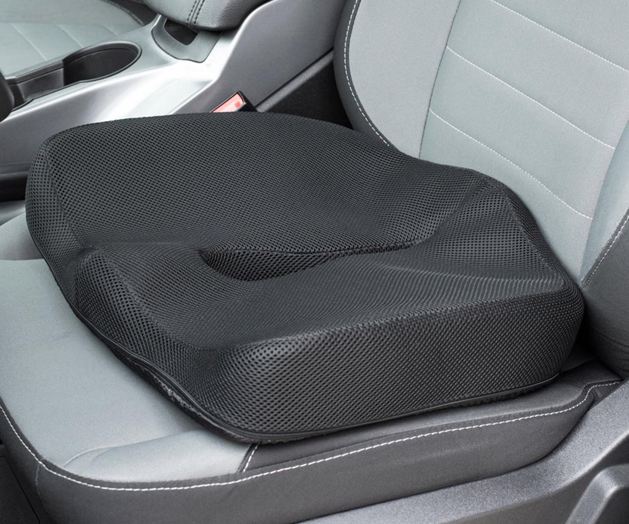 Theraposture Cushion