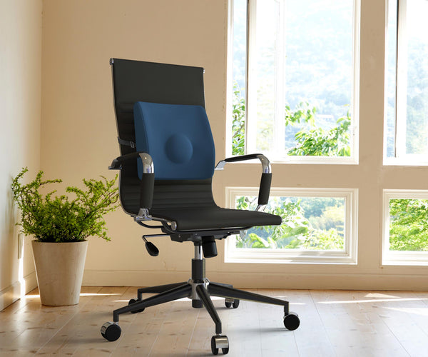 Therashape Lumbar Cushion