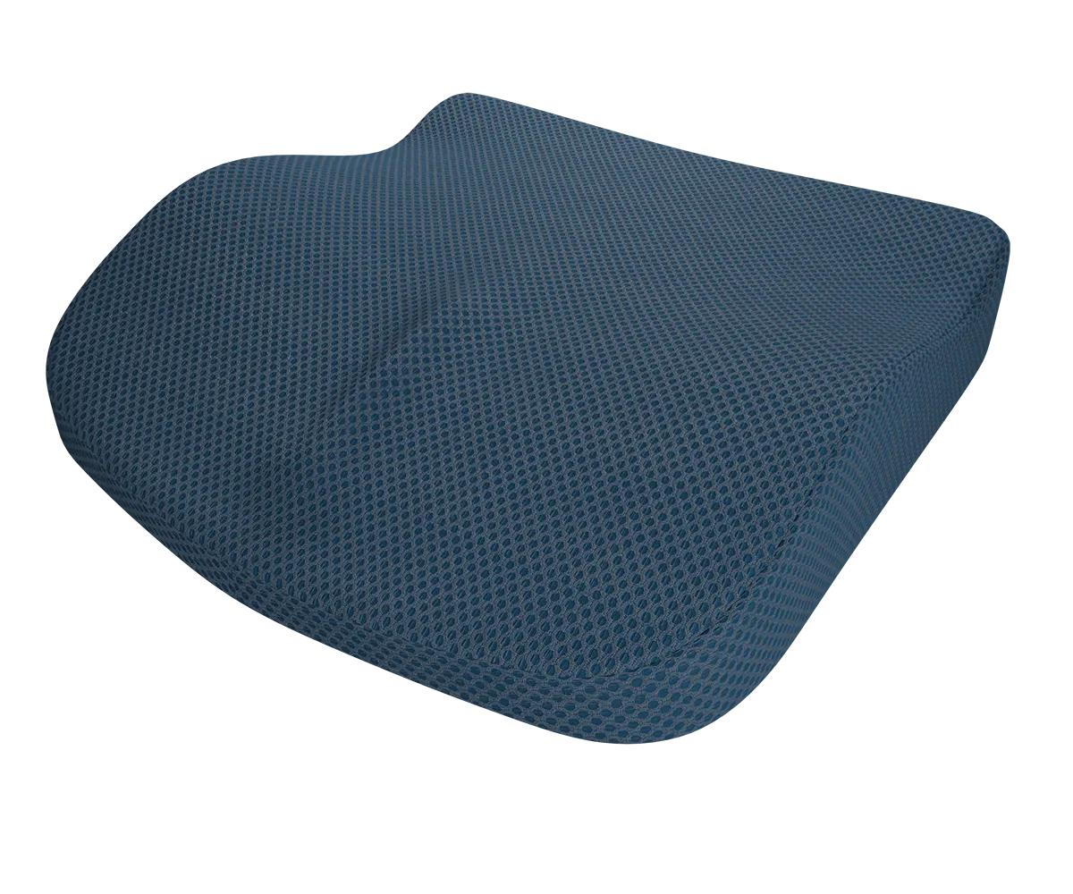 Theraplus 2-in-1 Cushion 