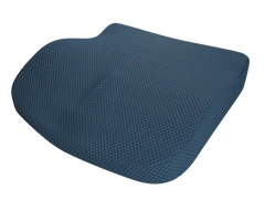 Theraplus 2-in-1 Cushion 