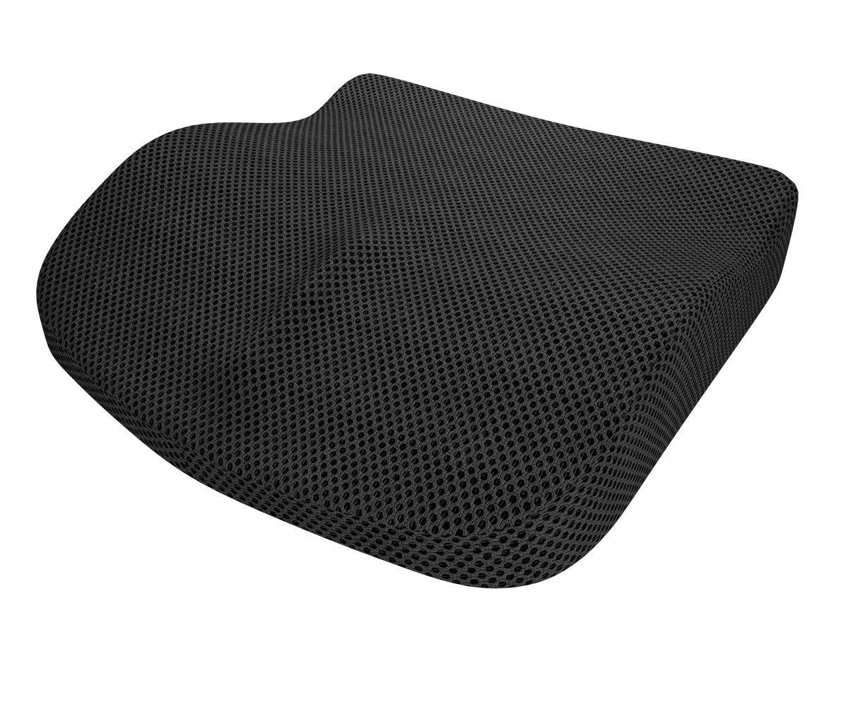 Theraplus 2-in-1 Cushion 