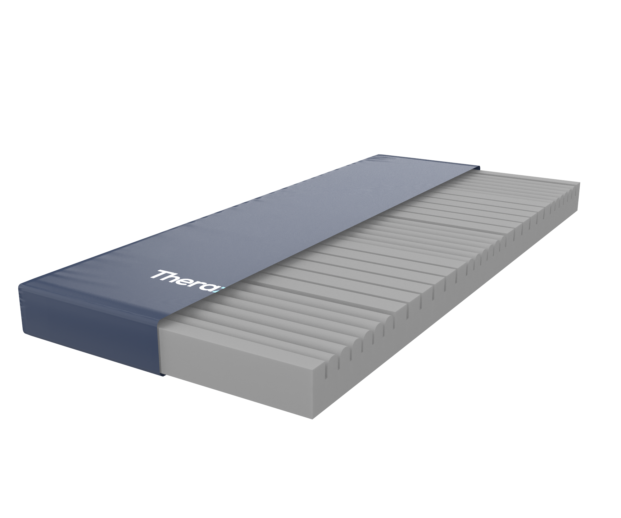 Therazona High Density Anti-Decubitus Mattress 