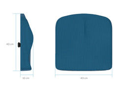 Theraplus 2-in-1 Cushion 