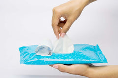 Therabaño Wet Wipes