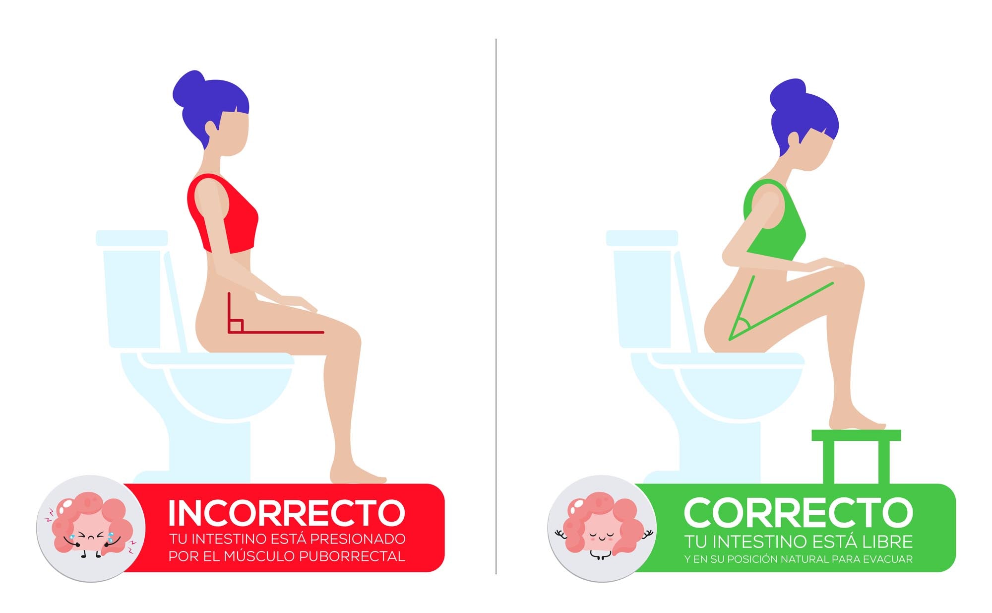 Theratoilet bathroom stool