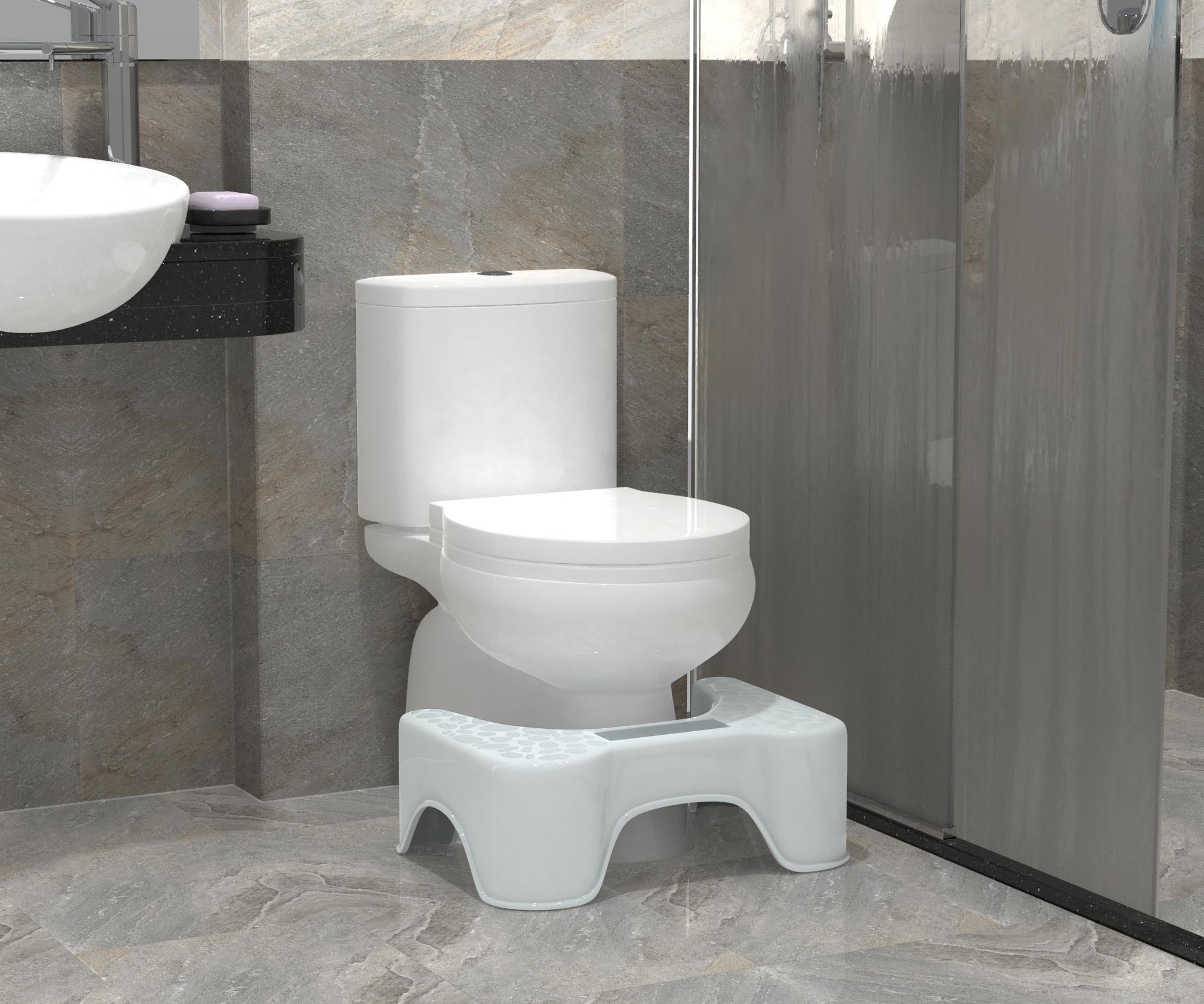 Theratoilet bathroom stool