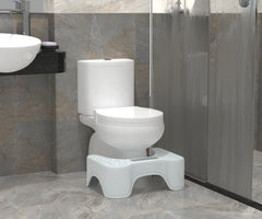 Theratoilet bathroom stool