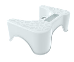Theratoilet bathroom stool
