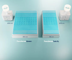 TheraSense Viscoelastic Mattress Topper - 5 Support Zones