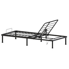 Theracare Pro Bed 