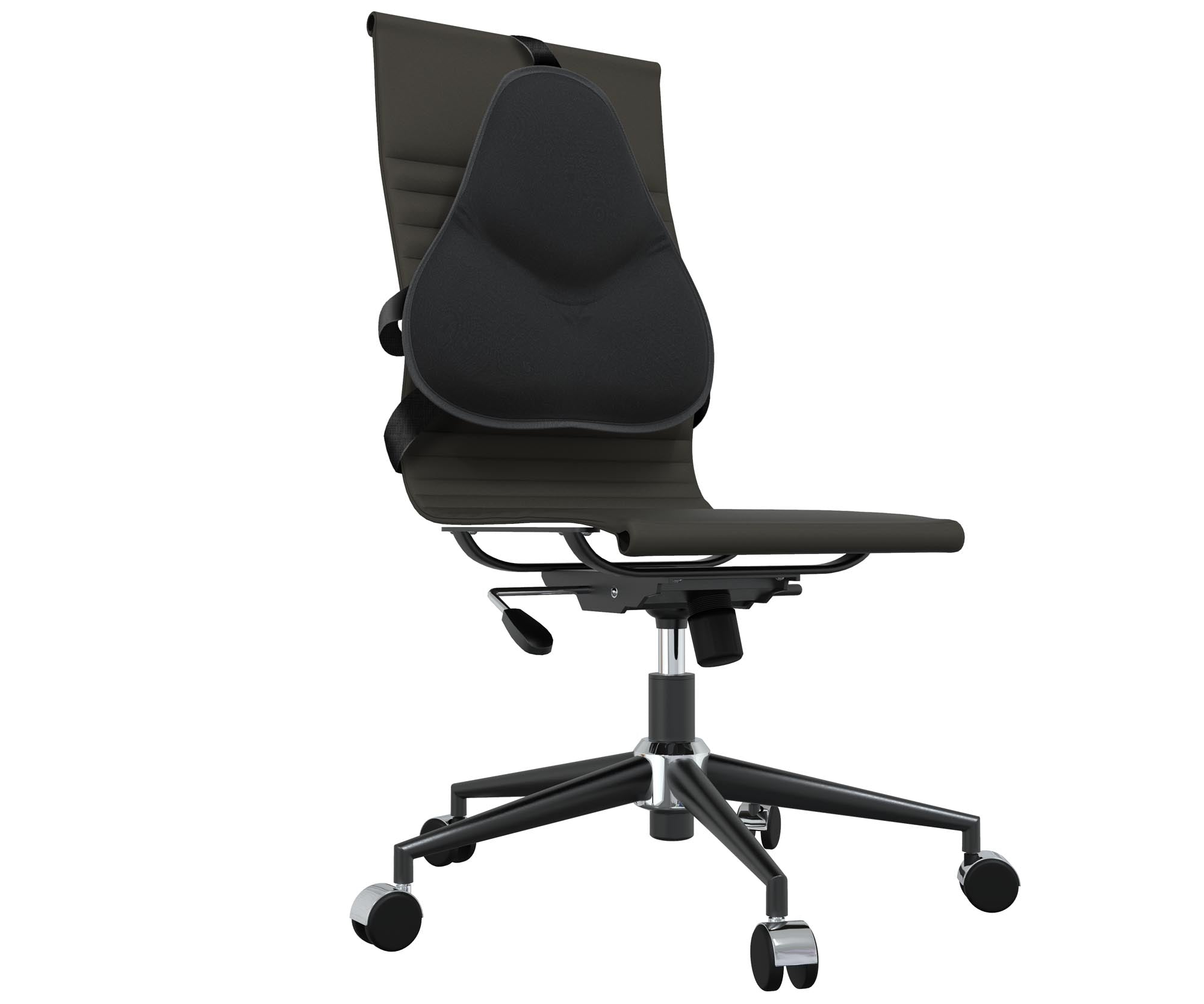 Theraback Lumbar Support Cushion