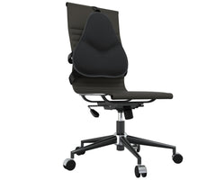 Theraback Lumbar Support Cushion